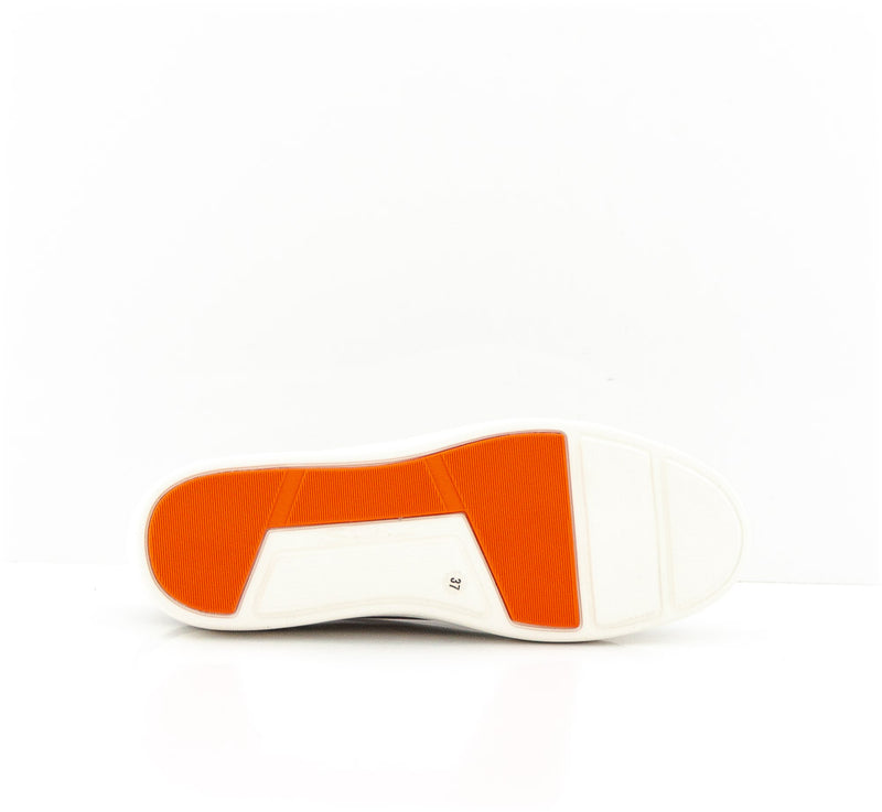 CLEANIC 53858 LSH GRIS