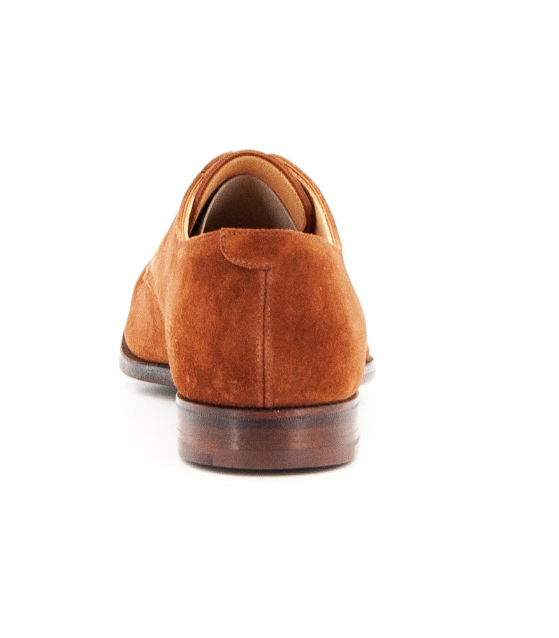 DART POLO BROWN
