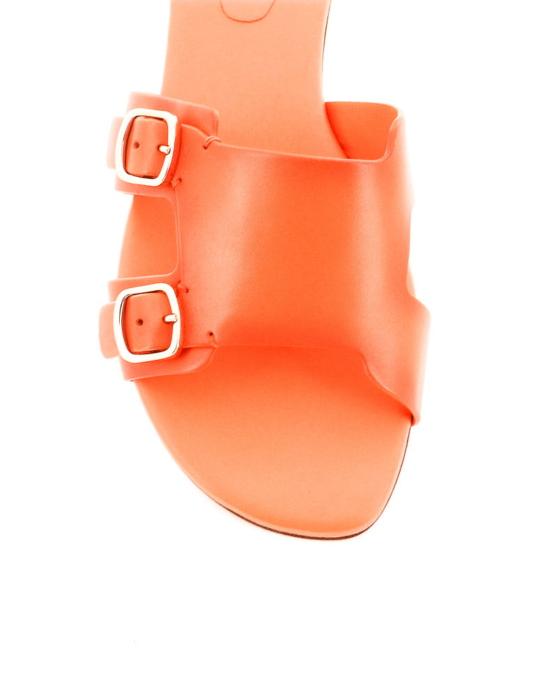 NEW PALOMA 70071 LGA ORANGE