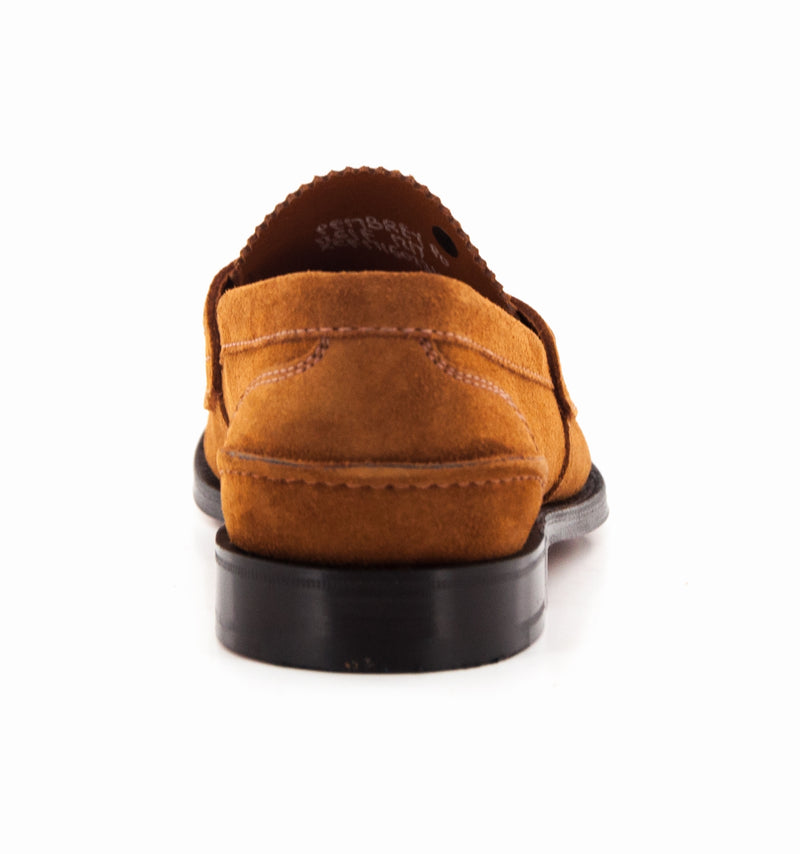 PEMBREY CASTORO TABAC