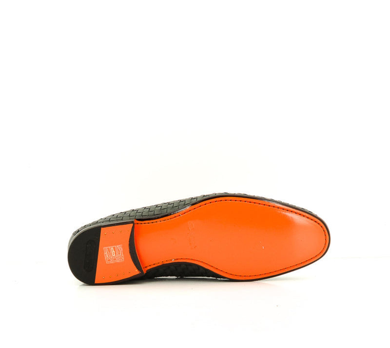 CARLOS 13903 WNC VERT