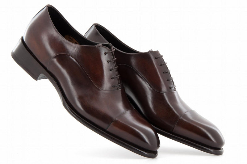 CARTER 12621 VVD MARRON FONCE