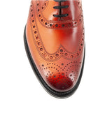 COLIN 17673 FUL SANGUINE